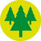 Schöner Wald